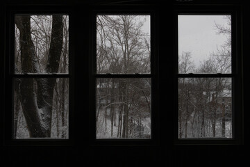 snowy trees through window