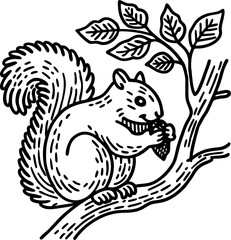Squirrel sitting on tree branch eating nut, woodland animal black and white illustration, nature wildlife drawing