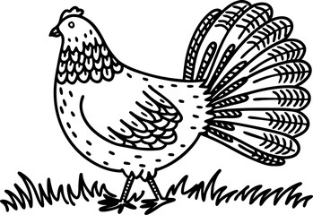 Fototapeta premium Decorative rooster illustration black and white line art bird with elaborate feather tail, farmhouse animal on grass