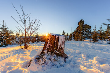 Šumava National Park near the Třístoličník mountain at sunrise in winter. Snowy winter landscape
