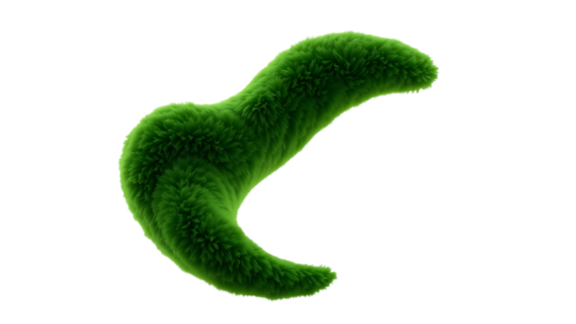 Plush green shape isolated on white background 3d design element