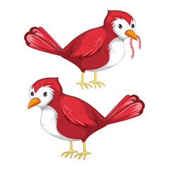 Joyful Pair of Cardinal: A detailed illustration showcasing two vibrant red cardinals, one poised to feed, the other in curious observation, highlighting their delightful charm.