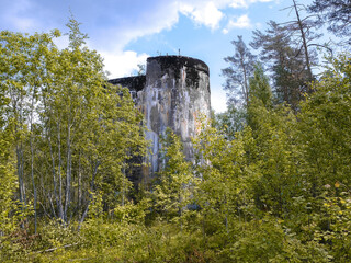 An Abandoned Structure Deeply Surrounded by Nature, Overgrown Trees, and Foliage