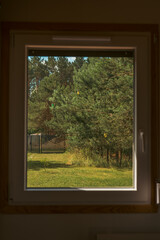 view through window