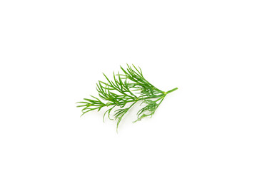 Dill isolated on white background. Fresh organic greens. Dill plantation. Dill leaves. Bunch of...