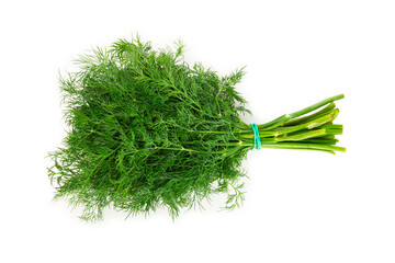 Dill isolated on white background. Fresh organic greens. Dill plantation. Dill leaves. Bunch of spring young dill. Vitamins. Fiber. Aromatic culinary spice.