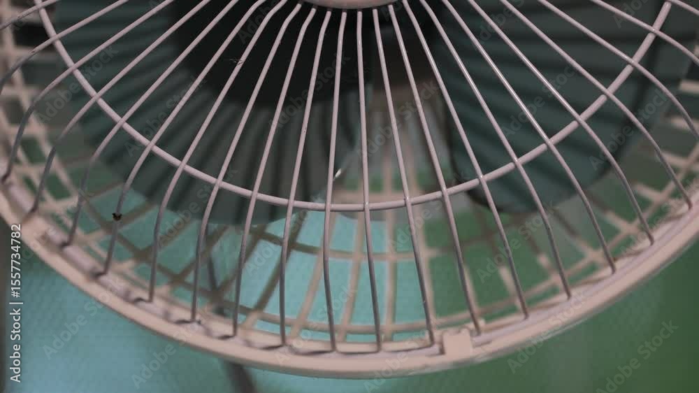 Poster close -up fan against the background of the window