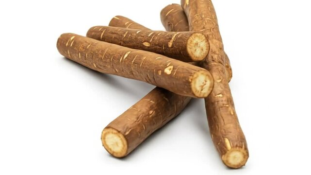 Pile of Burdock Roots