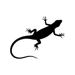 Sand lizard silhouette in black and white flat vector illustration on white background