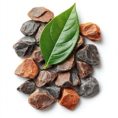 Colorful stones and a vibrant leaf