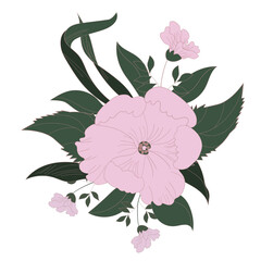 Bouquet of large white flowers painted by hand. Botanical ornament for fabrics, textiles, packaging and wallpaper. Vector illustration.