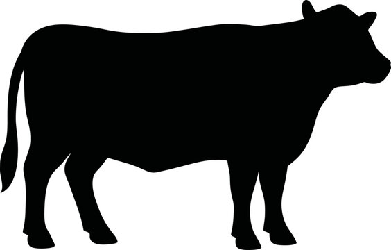 Beef Bull SVG Cut Files for Cricut & Silhouette