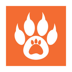 White Paw Print
