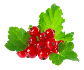 Red currant isolated on white background. Redcurrant or Ribes rubrum ripe berries with green leaves.