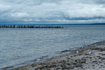 Obraz premium Wooden breakwaters at Baltic sea