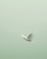 Fototapeta premium White dove symbolizes peace in realistic forest green background