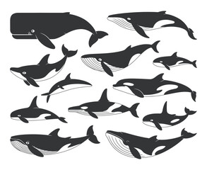 Obraz premium Collection of Black and White Silhouettes of Various Whale Species Simple illustrations different whale types black white style whale orca dolphin sperm whale