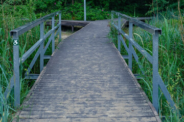 pedestrian bridge with railing in park 