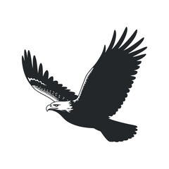 Majestic Eagle in Flight Silhouette Design Black and white silhouette eagle soaring the sky eagle bird silhouette flight soaring wings nature wildlife animal