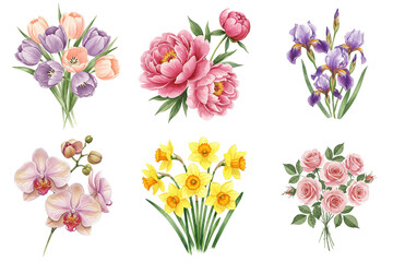 Fototapeta premium Set of tulips, roses, peonies, orchid, irises, and daffodils in watercolor painting style, muted colors, whimsical and artistic floral composition on transparent background 