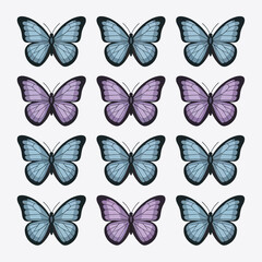 A pattern of twelve blue and purple butterflies on a white background