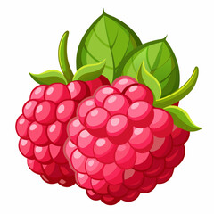 raspberry with leaves