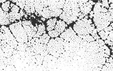 Crack paint isolated on transparent background, Vector grunge overlay texture. ,Vector grunge overlay texture. Black and white background.  black and white vintage of cracked concrete