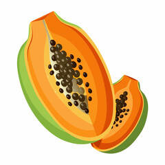 vector illustration of a melon