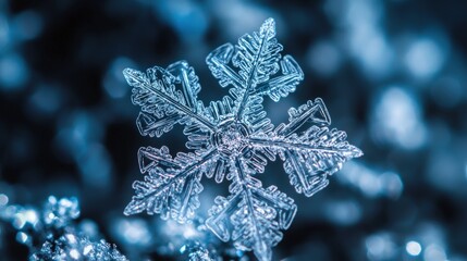 A Detailed Macro Photograph of a Delicate Six Pointed Snowflake