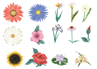 flower vectors