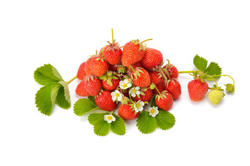 Bright fresh ripe strawberries with green leaves isolated on white