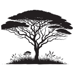 Beautiful Acacia Tree Silhouette with Grass Vector Illustration Design