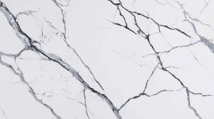 Elegant Statuario marble with bold branching veins in black and grey tones