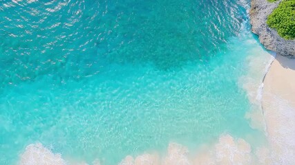 Tropical Beach Aerial View: An aerial shot of a stunning tropical beach with crystal-clear turquoise water lapping a pristine white sandy shore.