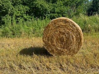 Roll of hay on a field.