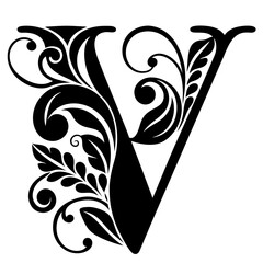 Stylized letter "V" with decorative elements and strokes, isolated vector image on transparent background