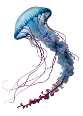 A blue jellyfish with long, flowing tentacles. The jellyfish has a translucent body and vibrant colors, set against a transparent background.