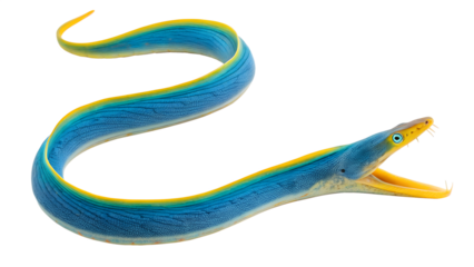 A vibrant blue and yellow moray eel with an open mouth, showcasing its sharp teeth. The eel is depicted against a transparent background, emphasizing its striking colors and features.