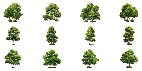 Obraz premium Lush Green Trees Digital Vector Illustration Set. Landscape Architecture And Urban Green Space Design Collection. Isolated Vector Illustration