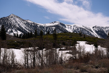 Verdant alpine meadow emerging from winter; snow-dappled slopes and craggy peaks crowned by feathered spring clouds invite a sense of renewal and high-country serenity in the Sierra Nevada.