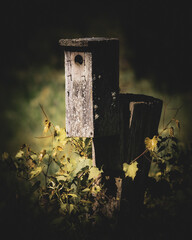 birdhouse