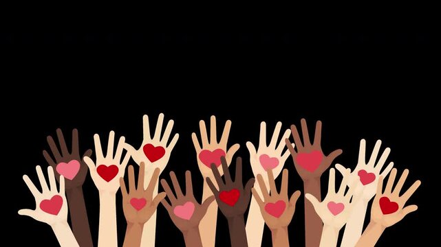 Volunteers holding hearts in palms. Multiethnic diverse people hands give and share love concept. Support and social help. 2D animation with transparent background alpha channel