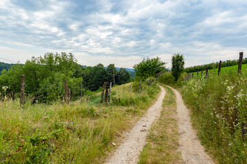 Country dirt road in rural area