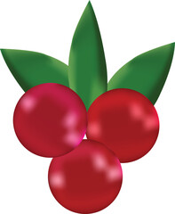 Red Berries Clipart with Leaves, Flat Design Cranberry or Holly Berry Illustration

