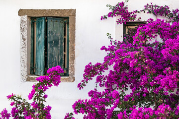 Beautiful colorful windows with flowers in Corfu island, Greece