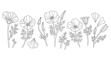Collection of California poppy flowers for coloring, coloring page.