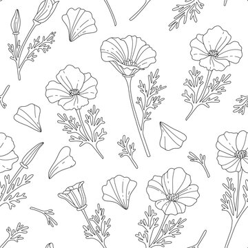 Seamless California poppy floral pattern. Coloring page, coloring book &mdash; perfect floral illustration.