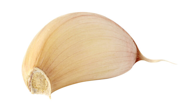 One segment of raw garlic cutout