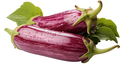 Fresh purple Graffiti eggplants with green leaves and water droplets present a vibrant and healthy vegetarian offering transparent.