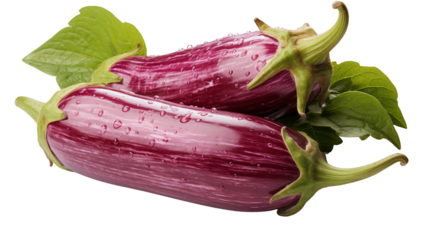 Fresh purple Graffiti eggplants with green leaves and water droplets present a vibrant and healthy vegetarian offering transparent.